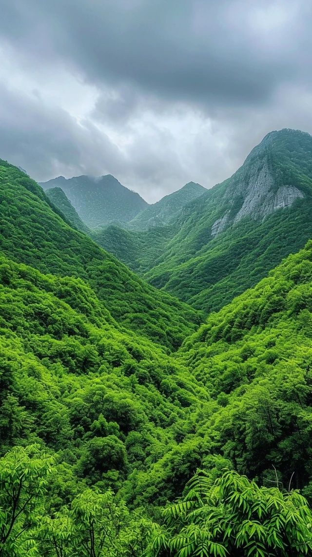 中國主要山脈基礎常識概覽