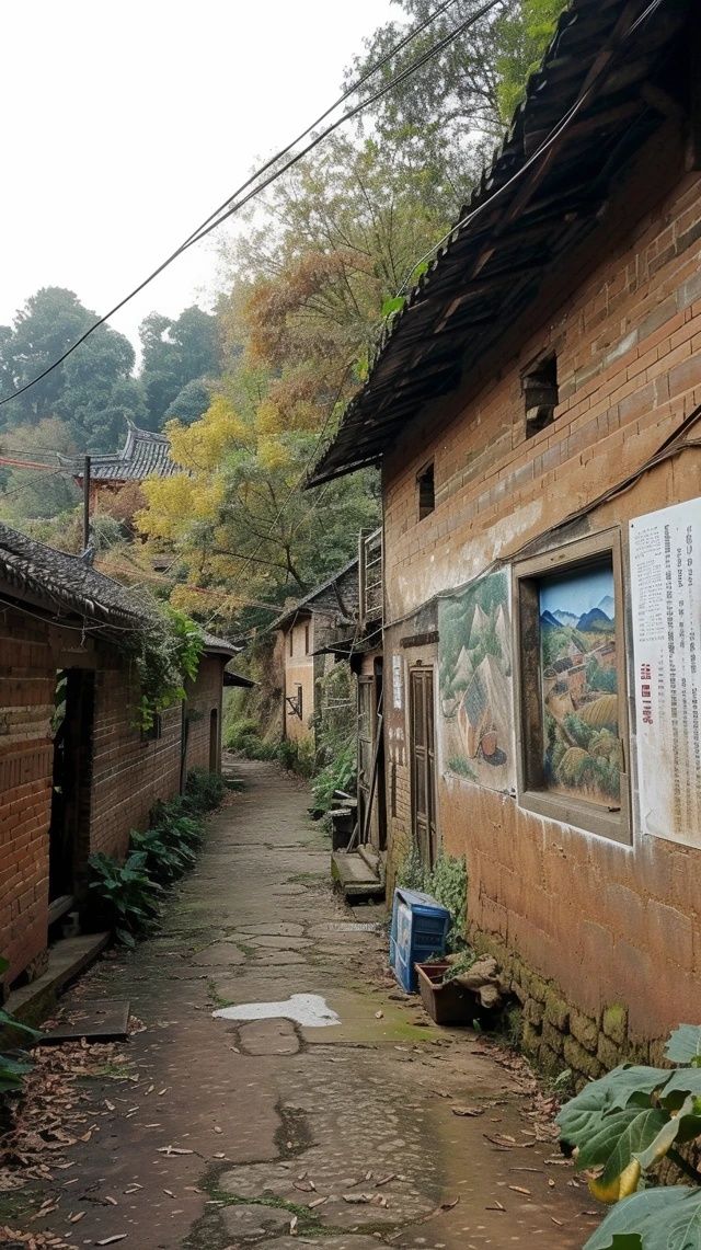 從單打獨斗到抱團發展！平陽粉干村書寫新故事