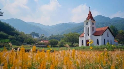 
洞頭海鮮排擋攻略：島上游走，品味海島風情美食之旅