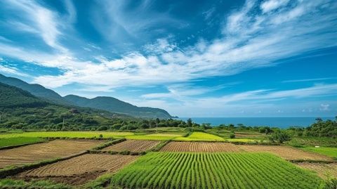 走進廣東肇慶懷集縣 美味之旅盡在此！