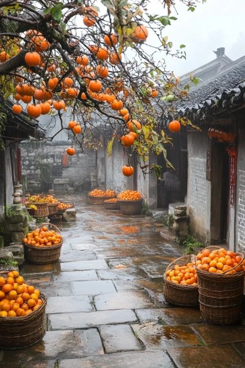 標(biāo)題鶴峰奇景木舤懸浮之謎