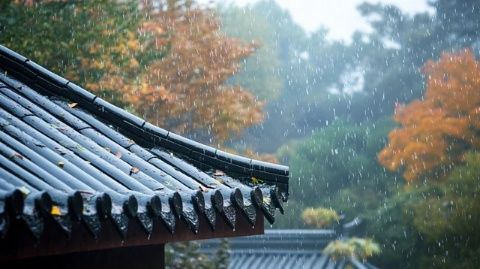 雨中探秘：成都雙流的文化與美食之旅