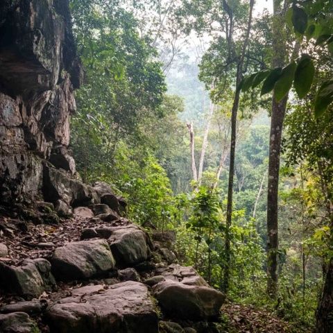 哀牢山探秘：揭秘傳聞背后的地理知識，探尋自然奧秘與生物多樣性