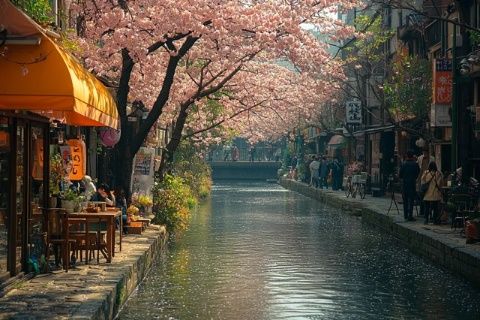 櫻花飄落下的夕陽美食