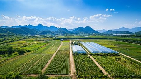 廣州至桂林：龍脊梯田與陽朔三天兩夜避雷攻略