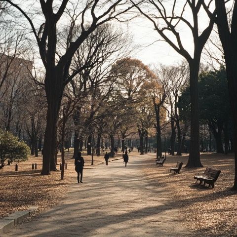 今天在地鐵里遇到兩位來沈陽美國大使館辦理業務的山東小姐姐，聽他們倆一路夸沈陽