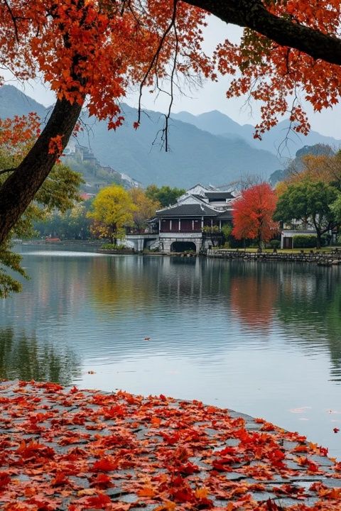 秋季玄武湖畔雞鳴寺，美景令人淚目