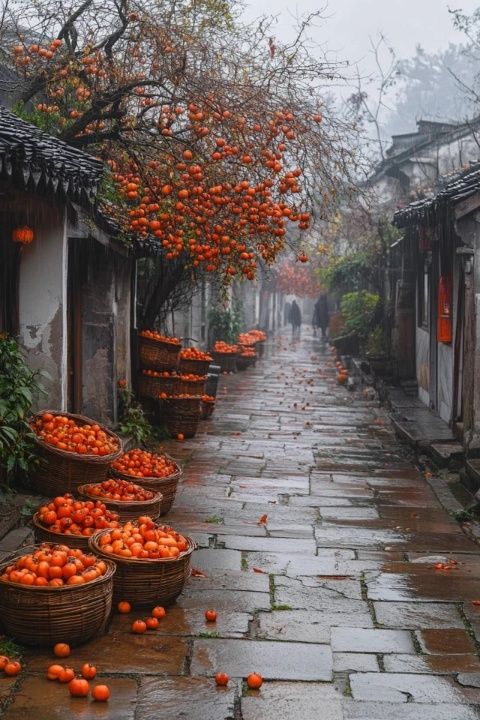 一路飄香 靖江季市美食之旅