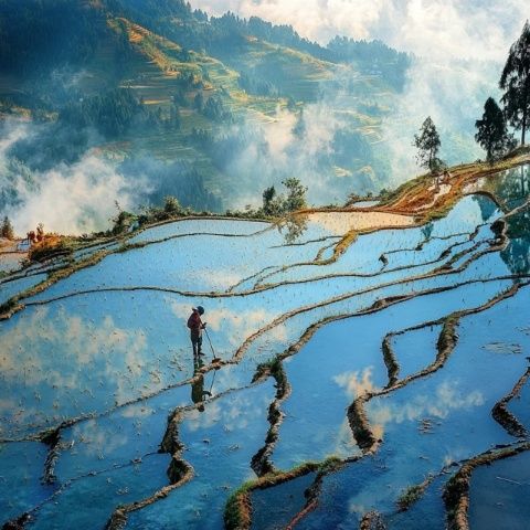 云南元陽哈尼梯田：世界遺產中的天空之鏡之旅