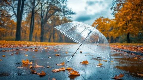 關于雨的10個有趣小知識