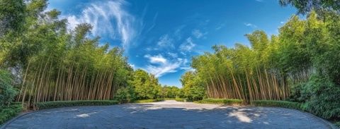 廣東周邊游|避暑必去的古兜溫泉小鎮(zhèn)!