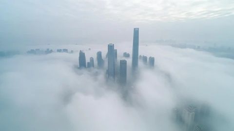 深圳:科技之城的美食探索之旅