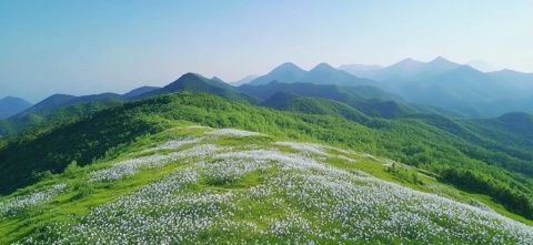 山西右玉：黃花飄香的地方，一個隱藏在塞北的小城，美的低調卻讓人心動