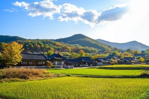 坡州旅游攻略:探索京畿道的文化之旅