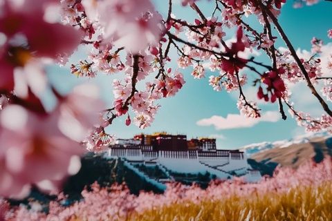 瀘西城子古村~小布達拉宮~赴一場洋芋盛宴