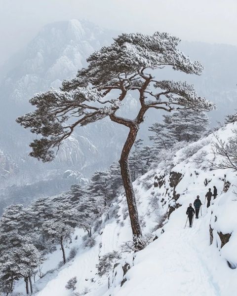 宜興黃塔頂冬季徒步探險：挑戰自我，盡享江南雪域風光