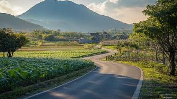 探索洛陽澗西區(qū)淺井頭九都路——初綻的新晉超市潛力無限