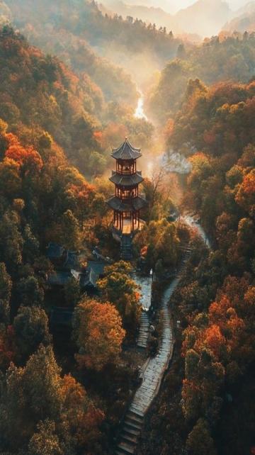 普陀山作為中國著名的佛教圣地和旅游勝地,每年吸引著大量游客前來朝圣和游玩,然而