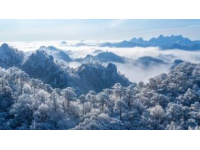 大明山萬松嶺滑雪場：搶先體驗早鳥票優惠，暢享華東最大室外高山雪域