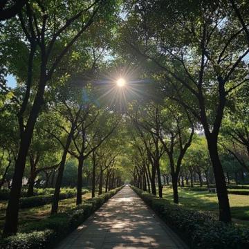 回憶家鄉(xiāng)的風(fēng)光:廣州天河公園