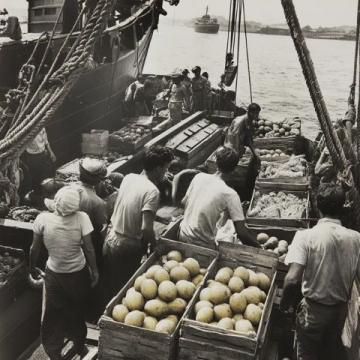 1950年前后，印尼當時發生了嚴重的排華事件，許多華僑回到祖國