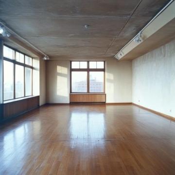 揭秘藍貓養護七大禁忌,避免健康隱患