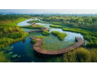 清遠飛來湖濕地公園免費開放，特惠活動及交通、住宿指南