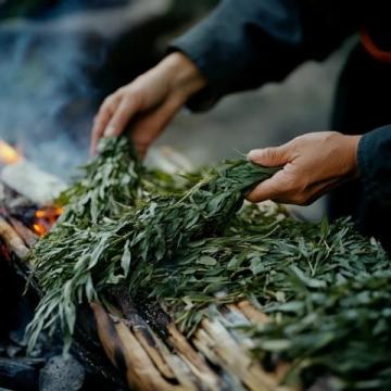 五月炎夏必備：酸辣裙帶苗拌蕨根粉，開胃又健康！