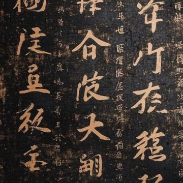 早些年，當我初次聽到海月之名時，我覺得有點不可思議,古人竟然把這樣蘊含詩意的名