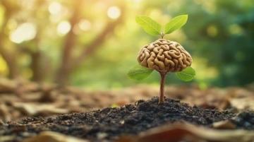 普通人如何通過反常識方法突破成長瓶頸?認知覺醒給出答案